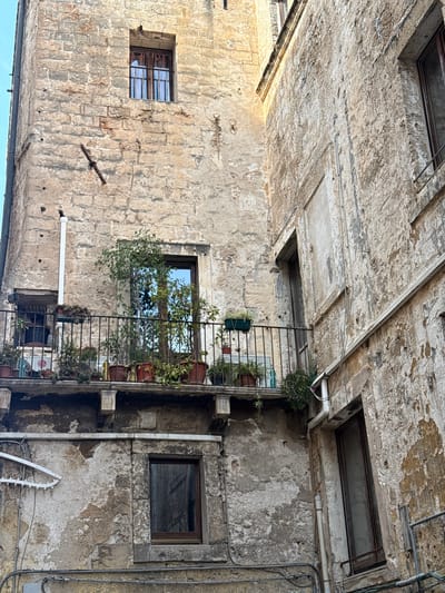 The image presents an upward view within a narrow, weathered urban passage or courtyard in Monopoli, Italy, flanked by old buildings. The architecture displays a blend of stone blocks and decaying plastered surfaces, indicating considerable age and history.

To the left, a building wall constructed from light-colored, rough-hewn stone blocks is visible, featuring a small, dark-framed window with internal grates on its lower section. A metal bar protrudes horizontally from this wall.

On the right, another building wall is characterized by extensively peeling and discolored plaster, revealing the underlying stone or brickwork. This wall hosts a small, dark-framed window, and a prominent black metal railing, likely a balcony, adorned with numerous potted plants and thriving green foliage. One of the windows reflects a clear sky.

Above, the scene is dominated by the undersides of overhanging building sections, forming a kind of ceiling for the passage. This upper area also shows widespread peeling plaster, along with multiple conduit pipes and electrical cables running across the surfaces. Several small, rectangular openings or vents are embedded in this overhead structure.

Further down on the right wall, near the bottom of the image, more pipes and cables are visible, along with a distinctive white, possibly broken, plastic fixture that might be a light cover or an antenna.

The overall impression is one of a quiet, historic European town, with the indirect light and the clear sky reflections suggesting it is daytime. No people or specific events are depicted, emphasizing the architectural details and the passage of time. There is no discernible text in the image.