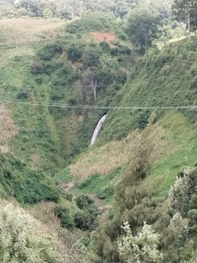 The image presents a deep, verdant valley located in Subukia ward, Kenya. A single waterfall descends down the central-left slope, appearing as a white cascade against the dark green rock face. The valley is densely vegetated with various shades of green foliage, including numerous trees and shrubs. Interspersed on the slopes are distinct, lighter brown patches of cultivated land, characteristic of dry crop stalks, likely maize. Two parallel utility lines, consistent with power or communication cables, traverse horizontally across the valley, passing above the upper section of the waterfall. Near the base of the valley, an indistinct area of disturbed ground or small, rudimentary structures suggests localized human activity or a pathway. No individuals or animals are present. The scene is illuminated by natural daylight.