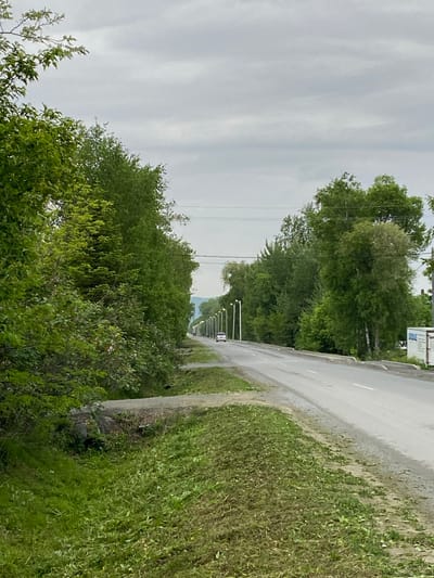 The image captures a road in Knevichi, Russia, lined with green trees and foliage. A gray road stretches into the distance, where streetlights are visible. The sky is overcast with a consistent gray color. A single vehicle is seen further down the road. Lush green vegetation dominates the foreground and sides of the road. A sign is partially visible on the right side of the road near the start of the image.
