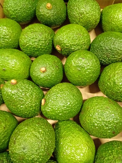The image displays a close-up, top-down view of numerous green avocados packed together in a container. The avocados exhibit a vibrant, fresh green hue and a distinctively bumpy, pebbled texture on their skin. Several avocados still have small, dry stem remnants attached at their apex. They are tightly arranged, filling the majority of the frame, with individual shapes varying from round to slightly pear-like.
The background consists of a light brown, somewhat dull surface, suggesting the avocados are resting within a cardboard box or crate. There are no people visible, and no specific activity is taking place; the image simply captures the static presentation of the produce. The lighting is bright and even, accentuating the natural color and surface details of the avocados. No text is visible within the image. While the provided context is Kabile, Bulgaria, there are no visual cues within the image itself to confirm this location. The focus is solely on the quantity and appearance of the fresh fruit.