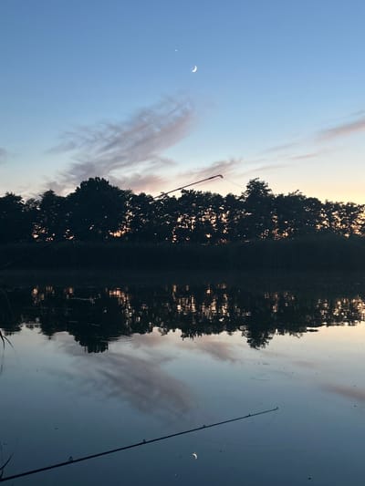 A serene evening scene unfolds at the riverbank in Platnirovskaya, Russia. The sky, a gradient of soft blues and subtle pinks, is adorned with a slender crescent moon and a small, bright star. Wispy, pink-tinged clouds stretch across the horizon, adding a touch of color to the twilight. A dense line of dark trees forms a silhouette against the fading light, their branches creating an intricate pattern. The tranquil river reflects the sky and trees, creating a mirror image on its glassy surface, dotted with occasional ripples. Two fishing rods lie diagonally across the water, their tips angled upwards, suggesting a moment of quiet anticipation. One rod is in the foreground, stretching from the bottom left corner towards the center, while the other is positioned further back, disappearing into the treeline. The overall atmosphere is one of peaceful solitude and the quiet beauty of nature at dusk.