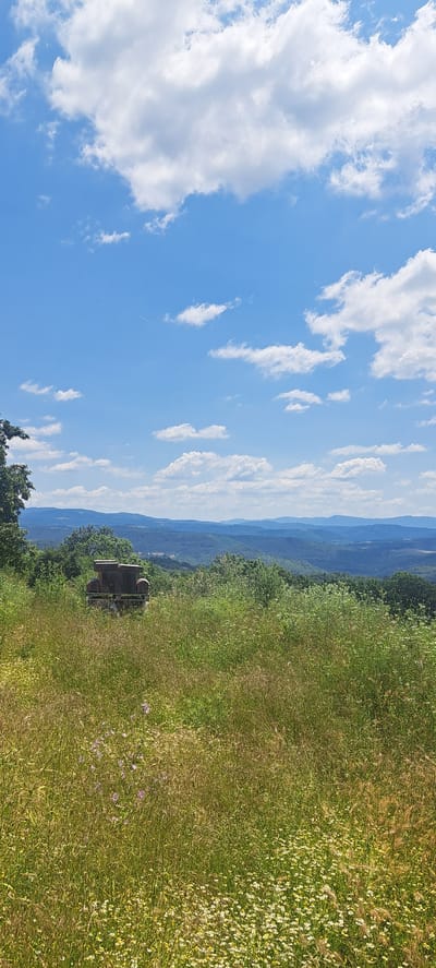 The image depicts a scenic landscape with a focus on a rolling hillside covered in green grass and wildflowers. The sky is a vibrant blue, dotted with fluffy white clouds. In the distance, layers of hazy blue mountains recede into the horizon, suggesting a vast, open natural setting.
In the foreground, on the right side of the image, a patch of denser grass is interspersed with small white and purple wildflowers, adding texture and color to the scene. To the left, a dark, rectangular object is partially visible, resembling a weathered bench or a small structure. It appears to be made of wood and metal and is situated amongst the greenery.
The lighting suggests it is daytime, likely late morning or early afternoon, with the sun casting gentle illumination on the landscape. The overall mood is peaceful and serene, evoking a sense of tranquility and natural beauty. The location, Novogortsi, Bulgaria, places this scene within a rural or mountainous region known for its picturesque vistas. There is no visible text in the image.
