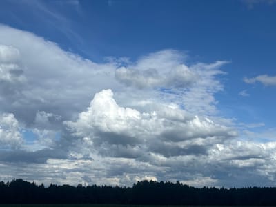 The image depicts a natural landscape dominated by a vast sky filled with dynamic cloud formations. The sky transitions from a deep, clear blue at the top to a lighter blue interspersed with various types of clouds. Prominent are large, billowing white cumulus clouds with darker grey undersides, suggesting varying degrees of moisture and depth. Wispy cirrus clouds are visible in the upper portion of the sky, indicating higher altitudes.
Below the sky, a dark, silhouetted band of trees forms the horizon line. This dense line of trees suggests a forest or a thick line of woodland. The foreground is obscured by darkness, hinting at a field or open area, possibly grass, that is in shadow. The overall impression is of a bright, possibly overcast day with dramatic cloud cover, set against a backdrop of a dark treeline, in the region of Грозаўскі сельскі Савет, Belarus. There are no people, animals, or man-made structures visible in the frame.