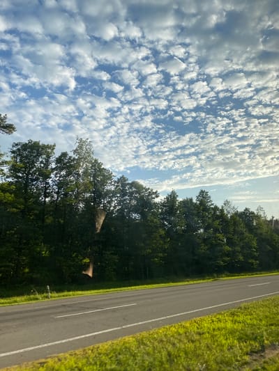 The image depicts a paved road running horizontally across the frame, bordered by a grassy verge on the right and a line of dense green trees on the left. The sky above is a vibrant blue, filled with a textured pattern of scattered white clouds. The lighting suggests it is either morning or late afternoon, casting a soft glow on the scene. A single road marker is visible on the left side of the road, near the tree line. The overall impression is of a serene rural landscape. The location is identified as Чэрвеньскі сельскі Савет, Belarus.