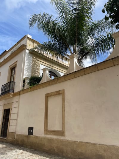 Captured from a low angle, the photograph showcases the architectural details of a building in Jerez De La Frontera, Spain, juxtaposed with a vibrant palm tree against a blue sky. The building's facade is characterized by its cream-colored walls, framed windows, and an archway, which suggests a courtyard or passageway. The palm tree's fronds extend into the frame, adding a tropical touch. The sky is partially visible between the palm leaves, revealing light cloud formations. A small black box or fixture is noticeable on the wall near the building's edge.