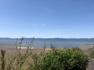 A panoramic view of the Ngorongoro Crater, located within the Ngorongoro Conservation Area in Tanzania, is captured from a vantage point on the crater rim. The image, taken from a roadside overlooking the crater, shows a clear blue sky with a few scattered clouds, overlooking a large, dry, grassy plain dotted with green shrubs and a small, shallow lake. There is a single, paved road leading up to the vantage point, a white, round object visible to the right. The image captures the beauty of the crater from a high perspective, showcasing the vastness and diversity of the landscape.