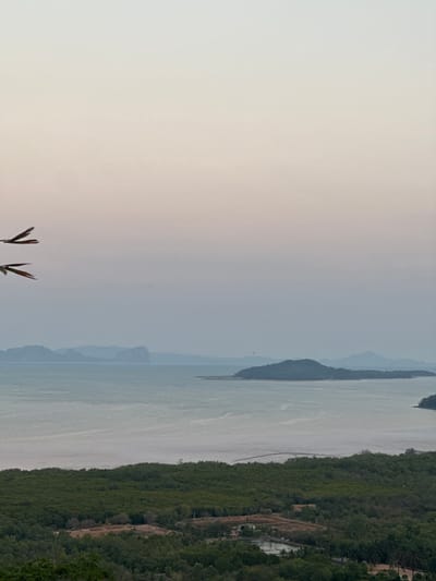 The image displays an elevated panoramic view of a coastal landscape in Ko Lanta Yai, Thailand, under a sky exhibiting a pale beige-pink to light blue-grey gradient, indicative of dawn or dusk. In the upper left quadrant of the sky, two dark, V-shaped objects are present. The middle ground consists of a calm body of water, possibly a bay, punctuated by several small islands covered in dense green vegetation. A wide, light-colored expanse of mudflats borders the water's edge, transitioning into a vast, dark green mangrove forest in the foreground. Within the lower right section of this forest, small structures and rectangular aquaculture ponds are visible. Distant, hazy, blue-grey mountain ranges line the horizon. No human subjects or other mobile entities, besides the two V-shaped objects, are discernible.