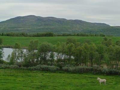 A white horse stands in a green pasture. In the background, a line of trees separates the pasture from a lake. Beyond the trees and lake, rolling green hills rise to a distant, cloud-covered mountain. The sky is overcast. The image appears to be a landscape photograph taken in Bjåen, Norway.