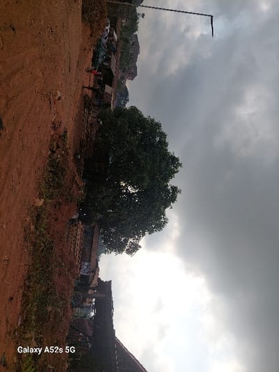 The image displays an outdoor scene in Awkuzu, Nigeria, under an overcast sky. A wide, reddish-brown dirt road or open ground occupies the left and foreground areas, showing loose soil and sparse dry vegetation. To the right of this dirt expanse, a cluster of basic structures, possibly market stalls or informal dwellings, is visible. These structures appear to be constructed from corrugated metal sheets, wood, and possibly some brickwork. A large, dark green, leafy tree stands prominently in the mid-ground, partially obscuring some of the buildings behind it. Two indistinct human figures are present near the structures; one figure is discernible wearing a red top. A faint plume of light grey smoke or dust emanates from behind one of the structures in the mid-ground. A tall, dark metallic street light pole, featuring a horizontal luminaire, stands against the sky in the upper right portion of the frame. In the background, beyond the structures, the terrain shows a gentle rise, possibly a hill. The entire upper portion of the scene is dominated by a heavy, uniform grey cloud cover, indicating overcast conditions.