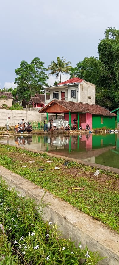 The image shows a pond in a rural area of Cimaung, Indonesia. The pond is surrounded by a concrete border and is partially filled with water. The water is reflecting the sky and the surrounding houses. There are a group of men sitting around the pond, and they appear to be fishing. They are sitting on wooden chairs and are holding fishing rods. The men are wearing various clothes, and some are wearing hats. There is a small, two-story house with a red roof on the other side of the pond. There are trees and green vegetation surrounding the pond, and there are white flowers in the foreground.