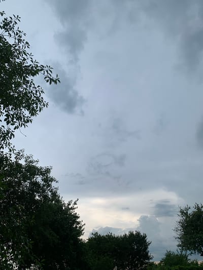 The image is a low-angle shot looking up at a cloudy sky, with the dark silhouettes of trees framing the bottom and left edges. The sky is filled with varying shades of gray clouds, with some lighter areas indicating potential breaks or thinner cloud cover, particularly towards the lower center where a bright, diffused light is visible. The overall impression is that of an overcast or impending weather event. The trees are lush and green, with visible leaves and branches. No people or specific landmarks are identifiable in the scene. The image appears to be taken outdoors in a natural setting, likely a park or residential area with mature trees, but without specific visual cues to pinpoint the location within Орлеўскі сельскі Савет, Belarus.