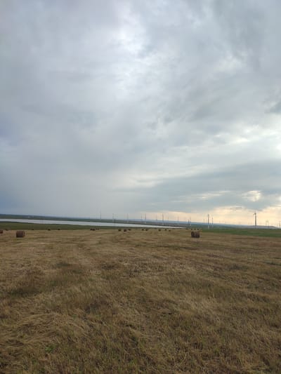 This is a landscape photograph taken in Starodvortsovskiy, Russia. The scene depicts a vast, dry hayfield dotted with numerous round hay bales, some appearing more weathered than others. Beyond the field, a body of water stretches across the horizon, its surface reflecting the overcast sky. In the distance, a sprawling wind farm is visible, with many wind turbines dotting the landscape. The sky is filled with heavy, gray clouds, suggesting a possibility of rain or a recent downpour, particularly on the left side of the image where darker, more intense cloud formations can be seen. The lighting is diffused, typical of an overcast day, and the time of day appears to be late afternoon or early evening, given the soft light. The overall mood is serene and perhaps a bit melancholic due to the gray skies and the starkness of the harvested field. There is no visible text in the image.