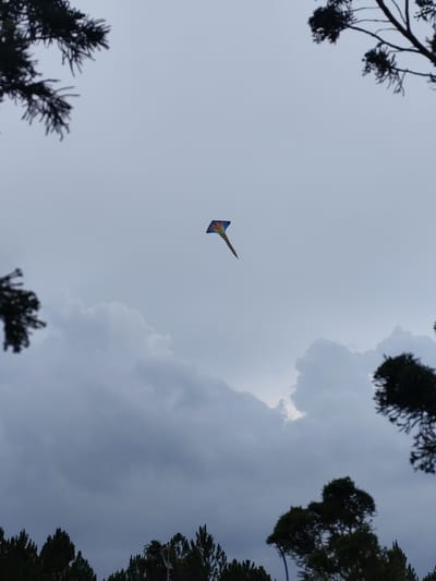 A kite flies in a cloudy sky in what appears to be Lang Biang-Da Lat, Vietnam. The kite is blue, yellow, and black. The sky is overcast with dark clouds and some lighter patches. Silhouetted evergreen trees surround the bottom and top edges of the frame.