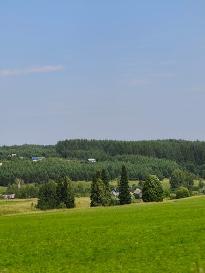 The image depicts a rural landscape in Забегалово, Russia, on a clear day. A vast expanse of bright green grass occupies the foreground, stretching towards a gently sloping hill in the midground. The hill is dotted with various trees, including a cluster of dark green coniferous trees and some deciduous trees with lighter green foliage. A few small buildings, likely houses with some exhibiting blue and white roofs, are nestled amongst the trees on the hill. A dense forest forms the background, creating a deep green backdrop that extends to the horizon. The sky is a pale blue with a few wispy white clouds. The scene is tranquil and natural, suggesting a peaceful rural environment.