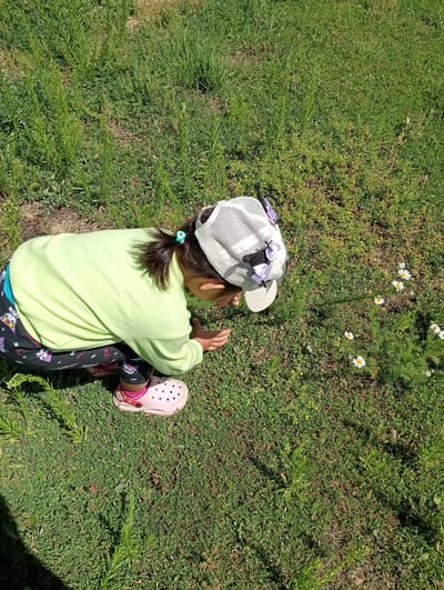 An elevated, medium shot shows a young child crouching on a grassy area. The child is wearing a lime green long-sleeved shirt, black pants with cartoon characters, pink Crocs, and a white mesh cap adorned with purple ribbons. The child's head is bent downwards, appearing to examine the small white and yellow flowers in the grass. The environment is a sunlit outdoor space with green grass and various weeds. The image was captured in the city of Zhaınyspaı, Kazakhstan.