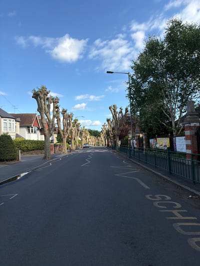 This image depicts a residential street in Southend-on-Sea, United Kingdom, specifically near St Mary's Prittlewell CofE Primary School. The scene is captured on a clear day with a blue sky and scattered white cumulus clouds.

The asphalt road, dark grey in color, recedes into the distance, showing faint white zigzag road markings on the left side and yellow "SCHOOL" markings on the right. A small, elongated puddle of water reflecting the sky is visible on the immediate left edge of the road.

On the left side of the street, a row of two-story detached and semi-detached houses with various architectural styles, including bay windows and tiled roofs, are visible behind hedges and low brick walls. A continuous line of regularly pollarded deciduous trees with thick, gnarled trunks and sparse new green leaf growth stands along the pavement in front of these residences. A single white car is parked further down the street on the left.

On the right side, a tall green metal fence runs parallel to the pavement, behind which are brick gate pillars and the grounds of St Mary's Prittlewell CofE Primary School. A white banner clearly stating "St Mary's Prittlewell CofE Primary School" is affixed to this fence, alongside several colorful posters. Immediately to the right, a silver birch tree with white bark and dense green foliage stands prominently, partially obscuring the school building. A grey street lamp with a horizontal luminaire extends over the road from the right side. The row of pollarded trees continues further down the street on both sides. No people or animals are visible in the scene.