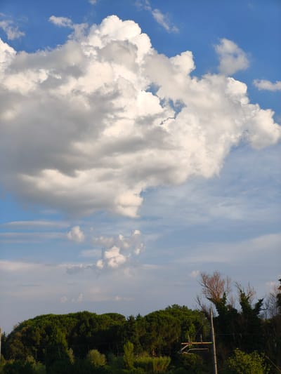 This media file depicts a landscape scene under a dynamic sky. The upper portion of the image is dominated by a large, fluffy cumulus cloud formation against a vibrant blue sky. Smaller, scattered clouds are also visible, some appearing as thin, elongated streaks. Below the clouds, a dense line of lush green trees forms the horizon, suggesting a natural or park-like setting. The trees appear to be a mix of coniferous and deciduous types, with some of the taller trees having an irregular, almost sculpted shape. Interspersed within the tree line and in the foreground are more trees and vegetation, creating layers of green.

A prominent feature in the lower right of the image is a utility pole with some electrical wires or cables. The light suggests it is either late afternoon or early morning, with the sun casting soft light on the clouds and foliage. The overall mood is peaceful and natural, with the dramatic sky adding a sense of grandeur to the scene. There is no discernible activity taking place, and no people or text are visible. The location context of Passignano sul Trasimeno, Italy, suggests a Mediterranean or Italian landscape.