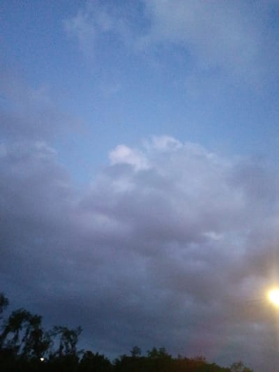 The image shows a twilight sky over a tree line. The sky is a gradient of blue and gray, with some lighter clouds visible. A bright yellow light is visible in the lower right corner, possibly a streetlamp. The trees are silhouetted against the sky, and some appear to be deciduous. The overall impression is one of a peaceful evening scene. There are no people or specific landmarks visible that would help to identify the location.