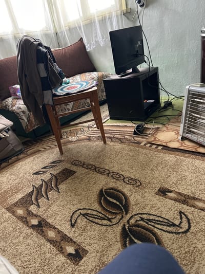 The image shows an interior scene, possibly a living room, with various items arranged on a patterned rug. A television and black storage cabinet are positioned near a window with sheer curtains. An electric heater is placed nearby, along with a chair and a bag resting on a sofa with cushions. The location is specified as Borovan, Bulgaria, but no further details are discernible regarding the precise environment or any people involved.