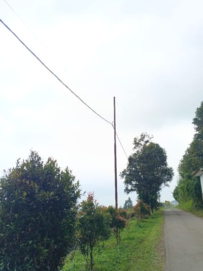 The scene, located in Uato Carabar, Timor-Leste, depicts a rural roadside under an overcast sky. The upper two-thirds of the image consist of a light grey, cloudy sky. A single dark utility pole is positioned vertically in the upper-middle right. Two dark utility lines extend from the upper-left corner of the frame, connecting to the pole, and continue horizontally towards the right. In the lower-left foreground, a large, dense, dark green bush is prominent. A narrow, paved road originates from the lower-right and recedes towards the upper-right background, appearing to ascend gently. To the left of the road, a strip of green grass is visible, bordering a row of smaller, manicured shrubs featuring reddish-green foliage, followed by a larger, mature tree. On the far right edge, a partial view of a white building with a dark roofline is discernible behind additional foliage. No individuals or active subjects are present within the frame.