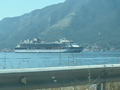 A large cruise ship, identified as "Celebrity Constellation" by its markings, is navigating a calm, blue body of water. The ship is positioned horizontally across the frame, its white and dark grey superstructure clearly visible. Numerous lifeboats are lined up along its side. In the background, a steep, verdant mountain range dominates the landscape, with small buildings and red-tiled roofs scattered across its lower slopes, suggesting a coastal town. The foreground is partially obscured by a gray metal guardrail and dry, thin branches. The scene is set under a clear, pale blue sky, indicating daytime. The location is Donji Orahovac, Montenegro.
