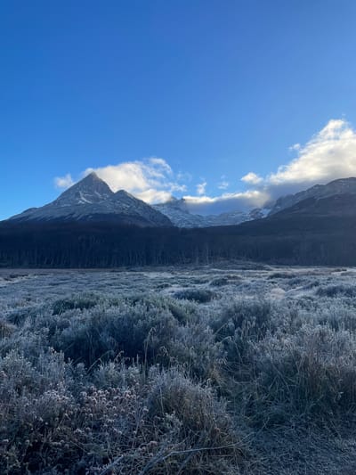 The image depicts a landscape in Unknown, Argentina. A dark mountain range is visible, partially obscured by clouds. The foreground is covered in vegetation, possibly bushes and grasses, which appear to be frosted or covered in ice crystals. The sky is blue and clear in the upper left corner. The photograph appears to be taken from a low angle, looking upwards.