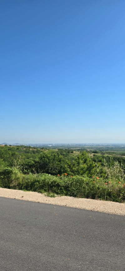 A panoramic, slightly blurry, vertical, outdoor shot captures a bright, clear blue sky dominating the upper portion of the frame. Below the sky, a distant, hazy landscape of rolling green hills and a town or city is visible on the horizon. The midground is filled with lush, dense green vegetation, including trees and bushes, with a few scattered orange flowers, possibly poppies, adding pops of color. The foreground features a grey asphalt road and a strip of light-colored gravel. The scene appears to be a view from a roadside elevated position, likely in or around the village of Brestnik, Bulgaria, given its rural and hilly terrain. There are no people or animals visible in the image, and no specific actions or interactions are depicted. The overall impression is one of a serene, sunlit natural environment.