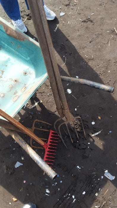 A garden fork and a rake are lying on the ground next to a blue plastic wheelbarrow. The scene is located at latitude 4.004 and longitude 9.211, near the Limbe Botanic Garden in Limbe, Cameroon. The ground is made of dirt and there are some pieces of white plastic and other debris scattered around. The wheelbarrow is upside down and there is a shadow cast from the fork.