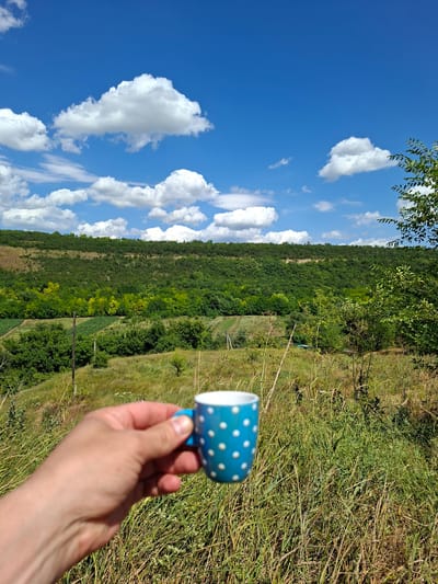 In Goian, Moldova, a close-up shot captures a hand holding a blue and white polka-dotted mug against a backdrop of rolling green hills under a bright blue sky dotted with fluffy white clouds. The foreground is dominated by tall, dry grass, suggesting a natural or rural setting. The mug, held by a person's thumb and index finger, is positioned towards the right side of the frame. In the mid-ground, the landscape transitions to a dense forest covering the slopes of the hills, with patches of lighter green foliage indicating different tree species or agricultural fields. A single wooden utility pole stands in the middle of the field. The overall scene depicts a serene, outdoor moment.