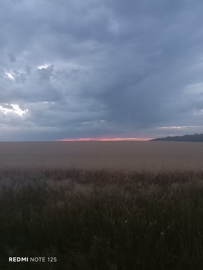 The image shows a wide shot of a field of dry grass, likely wheat or barley, stretching to the horizon. The sky above is overcast with dark, heavy clouds, but a sliver of light pink and orange sunset is visible at the distant horizon. A faint, dark line of trees is visible on the far right, silhouetted against the sky. The foreground is filled with dark, blurred grass and some scattered white flowers. The bottom left corner of the image contains the text "REDMI NOTE 12S" in white lettering. The scene appears to be an outdoor rural landscape, possibly at dusk, without any people or specific urban features visible that would indicate a location within the city of Gaidar, Moldova.