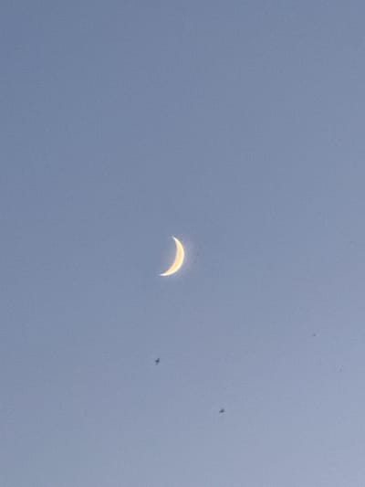A crescent moon is visible in a clear, pale blue sky. The moon is located slightly to the left of the center of the frame and is illuminated by an unseen light source, giving it a yellow-white glow. In the lower half of the image, there are at least three small, dark specks, which appear to be birds in flight. The sky appears to be during daylight hours, possibly early morning or late afternoon. There are no discernable landmarks or features of the city of Ishimbay, Russia present in the image.