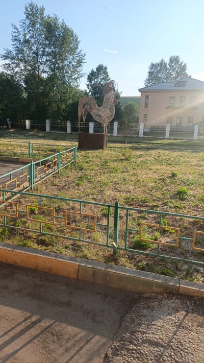 A large, decorative wire rooster sculpture stands in a grassy area. The rooster is made of intertwined wire, forming its shape. It is positioned on top of a dark brown, wooden structure, possibly a planter box or display base.
Behind the rooster, a light-colored, two-story building with multiple windows is visible. The sun is shining brightly, casting lens flare on the right side of the building and creating long shadows on the paved area in the foreground. A green metal fence with yellow rectangular accents surrounds a portion of the grassy area, separating it from a paved walkway. Trees with lush green foliage are present in the background, and a clear blue sky with a faint line stretching across it suggests it's daytime.
The scene appears to be an outdoor public space, possibly a park or a schoolyard, given the fence and the building. The lighting suggests it is either early morning or late afternoon, characterized by the warm sunlight and extended shadows. The overall atmosphere is peaceful and bright. No people are visible in the image. There is no visible text. The location context provided is Svirsk, Russia.