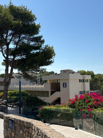 The image depicts a bright, sunny day in Badia De Palma, Spain. The scene is dominated by a modern, multi-story building with a light-colored facade accented with grey bands. A prominent blue square with a white "2" is visible on the building's exterior, likely indicating a building number or apartment.
In the foreground, a large, mature tree with dense green foliage partially obstructs the view of the building. Its branches twist and spread, casting dappled shadows. To the right of the building, vibrant pink bougainvillea flowers spill over a transparent glass railing, adding a splash of color to the scene. The railing runs along a pathway paved with light-colored bricks, which extends to the right edge of the image. A rustic stone wall, constructed from irregular grey stones, forms the boundary on the far right, further defining the pathway.
Several outdoor lights are mounted on the glass railing and on the stone wall, suggesting the area is illuminated at night. In the background, more trees and buildings are visible, hinting at a residential or complex setting. The sky is a clear, vivid blue, indicating fair weather. There are no people visible in the image. The overall impression is one of a well-maintained outdoor space, likely a part of a resort or residential complex, bathed in the warm light of a sunny day. A small blue sign with white text and arrows is affixed to the stone wall, but the text is too small to be legible.