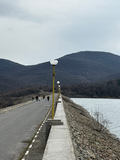 This image depicts a section of a dam or reservoir embankment near Баня, Bulgaria, under an overcast, light grey sky. A paved asphalt road, dark grey, occupies the left side of the frame, marked by a continuous white line and a dashed white line along its right edge.
On the right side of the road, a yellow lamppost stands prominently in the foreground. Its white, spherical light fixture is damaged, with a significant portion missing from its top-left section. A series of similar yellow lampposts with intact white spherical lights extends into the distance along a grey concrete barrier. This barrier delineates the road from the dam's sloped face, which is composed of irregularly shaped grey and brown stones descending towards a body of water exhibiting minor surface ripples.
In the mid-ground, a group of approximately six to seven individuals is walking away from the camera on the paved road. They are primarily dressed in dark, casual clothing. One person within the group is wearing a bright yellow or lime green reflective vest. To the far left of this group, another individual is walking a dark-colored dog on a leash.
The background features dark, forested hills or mountains spanning the horizon. The trees on these hills and along the far bank of the water body appear bare, consistent with dormant deciduous vegetation. Two dark utility poles or towers are visible against the distant hills on the left side of the scene.