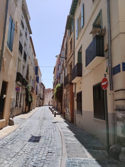 The image depicts a narrow, cobblestone street in the city of Perpignan, France. The street is lined with multi-story buildings, many of which have traditional shutters. On the right side of the street, there is a sign that reads "RUE PETITE LA REAL CARRER PETIT de la RAL". There are no people visible in the image. The sky is clear and blue, indicating a sunny day.