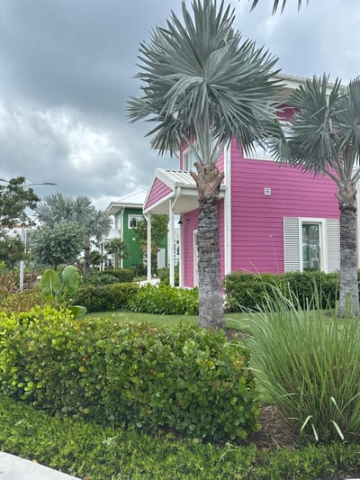 The image depicts a meticulously landscaped scene within the Baha Mar resort complex in Nassau, Bahamas, under an overcast sky. In the foreground and midground, dense, manicured green foliage forms a layered garden, including low-lying shrubs, a hedge row with small, round leaves, and taller clumps of reedy green grass. Two prominent Bismarkia nobilis palm trees with thick, textured trunks and distinctive silver-blue fan-shaped fronds stand upright.

The central subject is a two-story residential building painted a bright fuchsia-pink, featuring white trim around its windows and a white porch roof with supporting columns. A single window on the lower right of the pink building is partially obscured by white louvered shutters, while another is fully visible above. A black outdoor light fixture is mounted on the porch wall. Further in the background, a second two-story building, painted bright green with white trim, is partially visible, indicating a row of similarly styled colorful structures. No individuals are visible within the scene. The overall environment suggests a well-maintained, upscale tropical resort area.