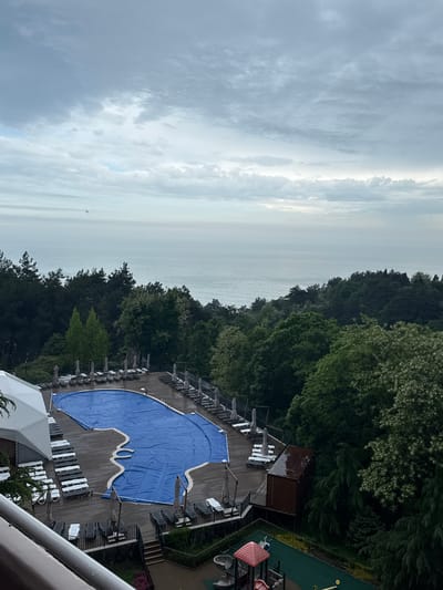 The image shows an aerial view of a swimming pool covered with a blue tarp, surrounded by a wooden deck with lounge chairs and umbrellas. Adjacent to the deck is a dense forest and beyond that, a body of water under an overcast sky. A small playground with red and yellow elements can be seen to the right. White structures are visible in the lower part of the image. Given the city information, the scene is likely located in or near Sosnovy, Russia.