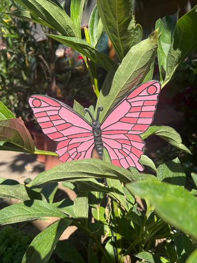 A pink butterfly decoration is placed on a plant with large green leaves. The butterfly has black markings on its wings and a black body and antennae. The plant is in an outdoor setting, with sunlight filtering through the leaves and casting shadows. In the background, other plants and a brown pot are visible. The scene appears to be in a garden or yard. The location is specified as the city of Karabunar, Bulgaria.