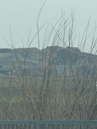 The scene captures an external landscape near Diadovo, Bulgaria, under a pale, overcast sky. A light-colored metal barrier, resembling a guardrail, forms the immediate foreground, spanning the bottom edge of the frame. Directly behind this barrier, a dense thicket of bare, dormant deciduous trees, characterized by numerous slender, vertically oriented branches devoid of foliage, occupies the central view. Beyond the trees, a subdued field area with muted green and brown tones extends into the middle distance. Further in the background, a prominent range of hills or mountains exhibits extensive terracing and exposed rock faces, indicative of significant quarrying or mining operations. A faint, light-toned architectural structure, possibly an archway or a portion of a building, is observed in the middle distance to the left. No individuals, fauna, or active events are discernible within the frame.