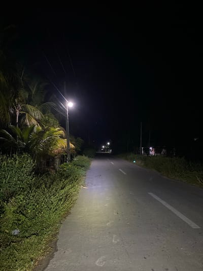 The image depicts a dimly lit, paved road at night in Aluegunto, Indonesia. The road is bordered by lush green vegetation and palm trees on the left side. A single streetlamp illuminates a portion of the road, casting a bright pool of light. In the distance, other streetlights are visible, suggesting the presence of a settlement. The overall atmosphere is quiet and rural. There are no people or vehicles visible in the scene.