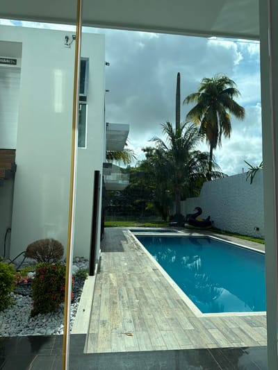 A modern white building with a glimpse of a "Habana" sign is reflected in a window. Outside, a pool with textured tile borders and a black swan statue sit adjacent to a grassy area with palm trees against a cloudy sky. Landscaping details include white rocks, shrubs, and small plants. The window frame is visible, adding depth to the scene.