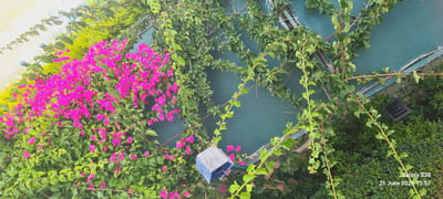 The image shows an outdoor scene with abundant greenery and bright pink bougainvillea flowers. A small, light blue, cube-shaped birdhouse is visible amongst the foliage. In the background, a teal-colored mesh material is stretched over a frame, with some white netting visible. To the right of the frame, a square black vent or fixture is embedded in the lower portion of the scene. The bottom right corner of the image contains a watermark indicating "Galaxy S20" and the date "21 June 2026 15:57". The overall impression is that of a garden or courtyard in Dalaman, Turkey.