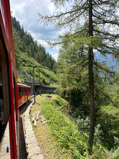 A red train travels on a track beside a lush green, tree-covered mountainside. The train, viewed from its interior, has several windows reflecting the surrounding scenery. The track runs along a stone retaining wall, with vegetation growing on either side. A tunnel entrance is visible in the middle ground, with overhead power lines running along the track. The mountainside is densely forested with pine trees, and the sky is partially cloudy. The scene appears to be in a mountainous, rural area.