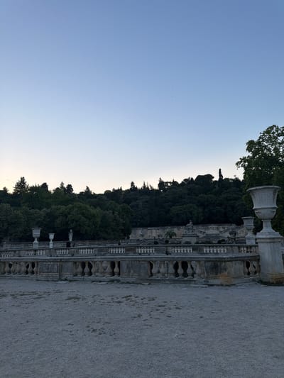 The image depicts a view of the Jardins de la Fontaine in Nîmes, France, at dusk. The foreground is a gravel path. Beyond this, a stone balustrade with ornate balusters runs horizontally across the frame. Behind the balustrade, there are tiered structures with decorative urns and statues. A dense, dark green forest covers the background, rising up a hill. The sky above is a clear, pale blue, with a few small birds visible. The overall impression is one of a grand, historical garden setting in the fading light.