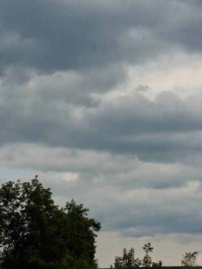 The image shows a view of the sky with dark, heavy clouds. In the foreground, the tops of several trees with lush green foliage are visible. There are also hints of a building structure at the bottom edge. Small, distant objects that appear to be birds are present in the sky. The overall impression is of an overcast or potentially stormy day. This scene appears to be in an outdoor setting within the city of Murom, Russia, given the context.
