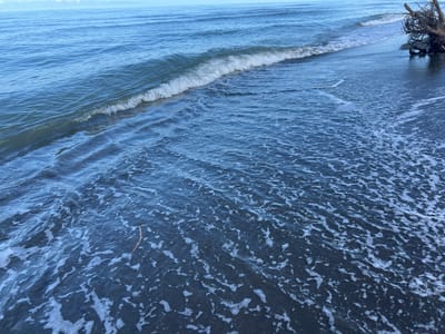 This image shows a close-up view of the Black Sea coast in Shekvetili, Georgia. The shallow water laps at a dark, wet sandy shore, leaving trails of white foam. A gentle wave breaks in the upper left quadrant, its crest creating a white line against the deeper blue water. In the upper right corner, a weathered piece of driftwood, possibly a tree root, rests on the sand. The horizon is visible in the distance, a faint line separating the water from a pale, overcast sky. The overall impression is one of a calm, somewhat overcast day at the beach.