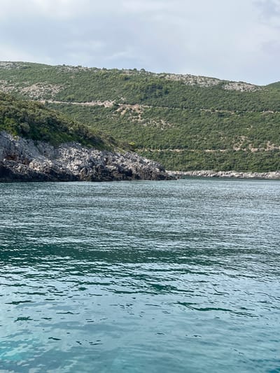 The image shows a view of a mountainous coastline with the sea in the foreground. The mountain on the left is covered in dense green vegetation, with rocky outcrops visible. The sea on the right is calm with gentle ripples. The overall scene is natural and serene. There are no people or objects prominently visible, and no text is present in the image. The lighting suggests it is daytime, possibly late morning or early afternoon, with a slightly overcast sky. The location appears to be a coastal area with rugged, vegetated cliffs.