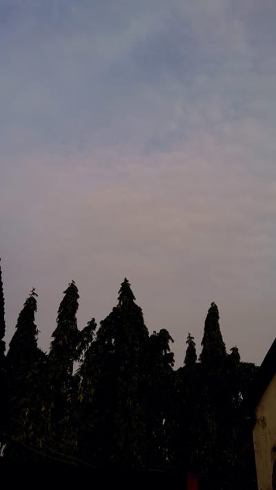 The image, likely taken in Umuigbekwo, Nigeria, shows a view of the sky with silhouetted trees occupying the right side of the frame. The sky has a muted color gradient transitioning from light blue-gray to a soft, pinkish-gray hue. The trees are densely packed and lack detail due to being silhouetted against the sky. The image appears to be taken at dusk or dawn. No people are visible in the image.
