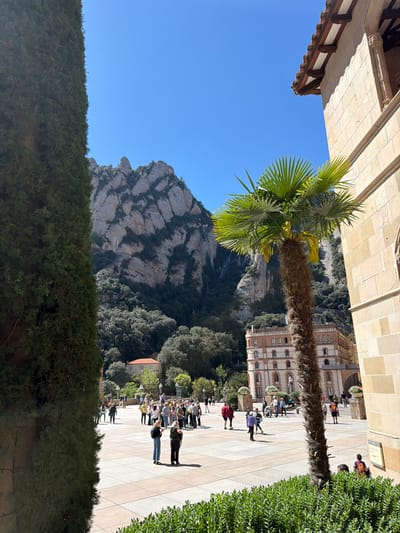 This media file presents a vibrant outdoor scene captured on a clear, sunny day at the Montserrat Monastery in Monistrol de Montserrat, Spain. The original image is rotated 90 degrees clockwise.
The central feature is a spacious, light-tiled plaza bustling with visitors. A tall, sturdy palm tree with rich green fronds stands prominently on the left side of the plaza, casting a long shadow, indicative of strong sunlight. To the upper left, a traditional stone building with a tiled roof and exposed wooden beams is partially visible, suggesting historical architecture. Opposite this, on the right side of the plaza, another multi-story building with a reddish-brown facade and numerous arched windows forms part of the complex.
Numerous people are scattered across the plaza, engaged in various activities typical of tourists or visitors. They are dressed in casual attire, walking, standing, and observing their surroundings. The strong, distinct shadows cast by the individuals and the palm tree confirm bright, direct sunlight, suggesting it is likely mid-morning or afternoon.
The backdrop is dominated by the majestic Montserrat mountain, showcasing its distinctive, jagged, and multi-layered rock formations. Patches of dark green trees and bushes cling to the mountain's slopes and line the edges of the plaza, contrasting with the lighter rock and paved areas. The sky above is a pristine, clear blue, devoid of clouds, emphasizing the excellent weather conditions. A small, indistinct sign can be seen on a stone wall behind the palm tree, though its text is not clearly legible. The scene conveys a sense of peaceful activity at a significant cultural and natural landmark.