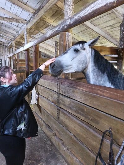 In a rustic stable, a young person with pink-tinted hair, wearing a black leather jacket and dark clothing, extends their right hand to gently stroke the face of a dappled grey horse. The horse, with a black mane and tail, is visible from its head and neck, looking towards the person. The stable features rough-hewn wooden stalls and a visible chain hanging down. The ceiling of the stable is constructed from wooden planks and beams, suggesting an older structure. The ground appears to be covered in straw and dirt. The overall scene depicts a moment of gentle interaction between a human and an animal within a traditional stable environment, likely located in or around the Клейнікаўскі сельскі Савет in Belarus.